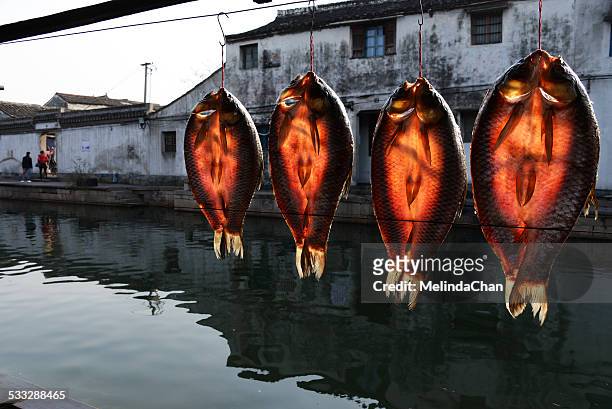 sundried fish in old water town - shaoxing stock pictures, royalty-free photos & images