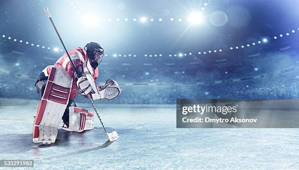 portero de hockey sobre hielo - hockey rink fotografías e imágenes de stock