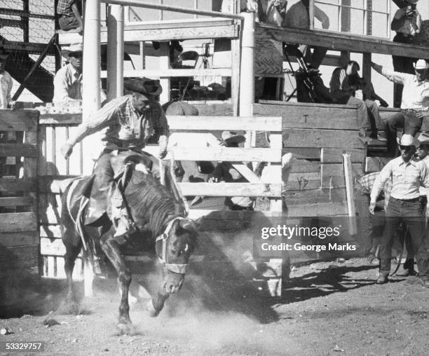 6,191 Vintage Muscle Man Stock Photos, High-Res Pictures, and Images ...