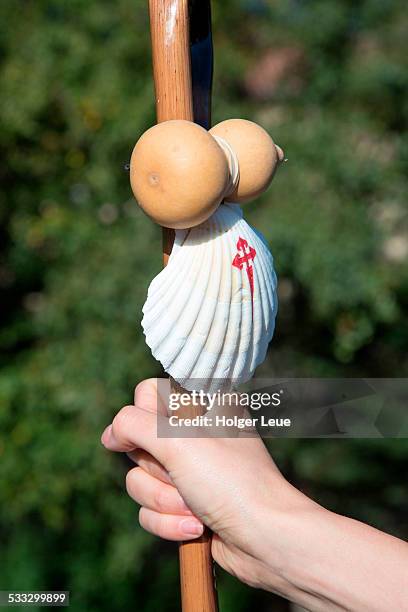 hand holds way of st. james walking stick - pilgrims fotografías e imágenes de stock