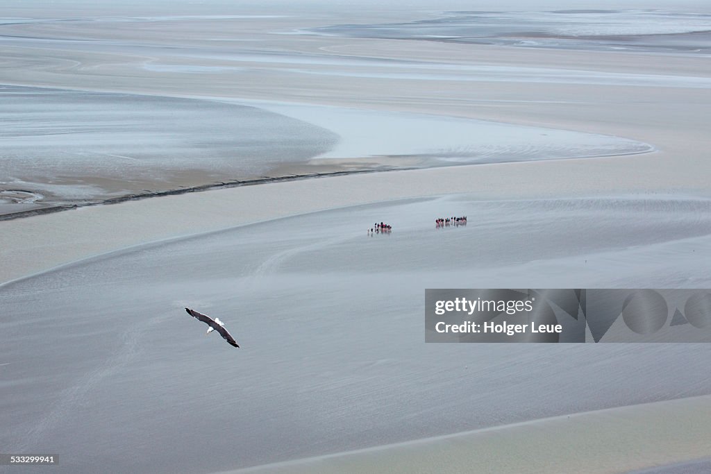 People walk across sea of sand at low tide