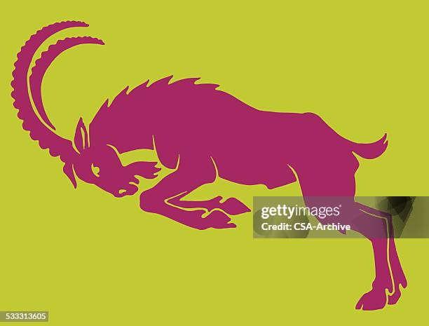 161 Capricorn Animal Sign Photos and Premium High Res Pictures - Getty Images 161 Capricorn Animal Sign Photos and Premium High Res Pictures - Getty Images
