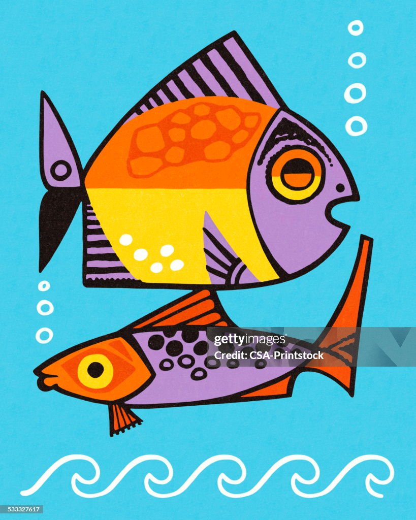 2 Fish Vector Two Tropical Fish High-Res Vector Graphic - Getty Images