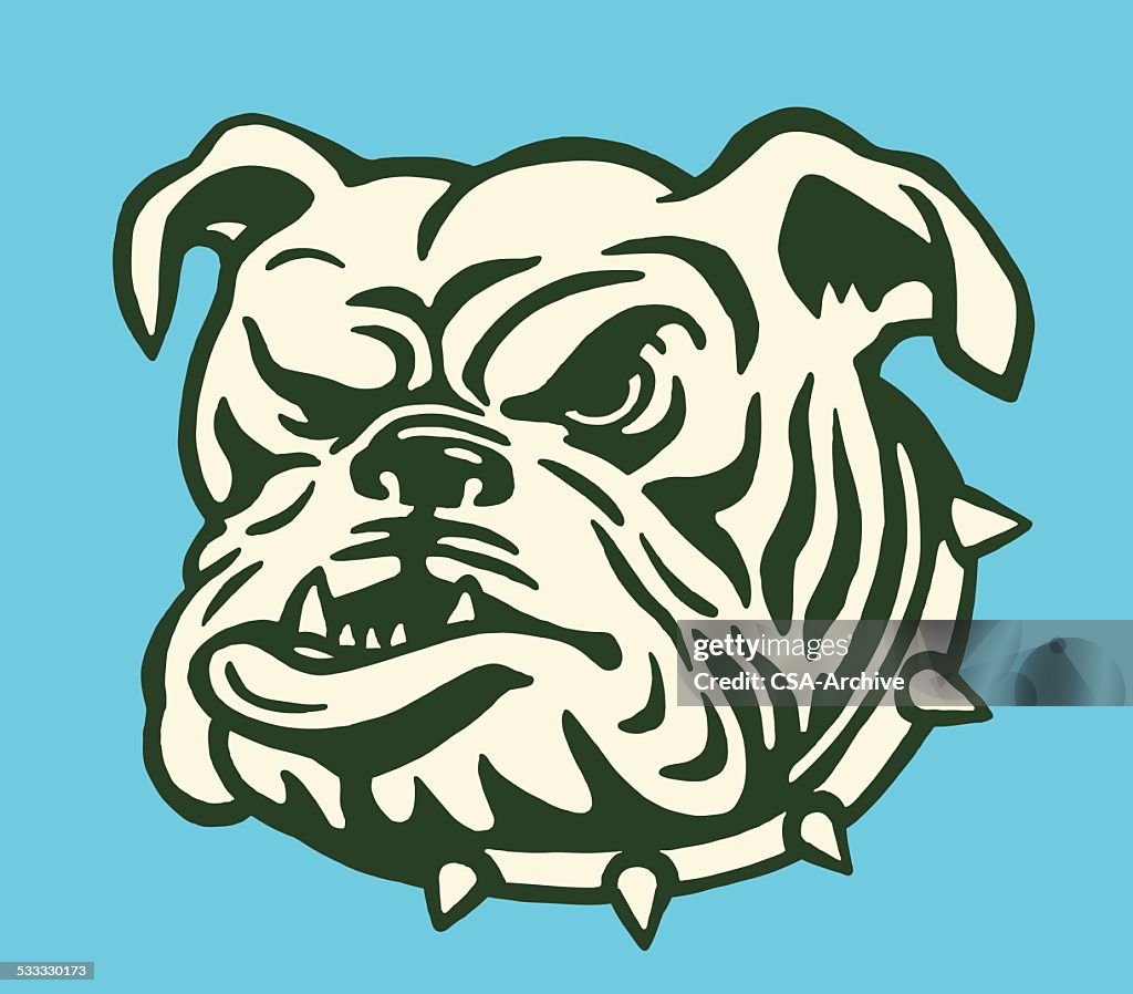 Bulldog con collarín enriquecida