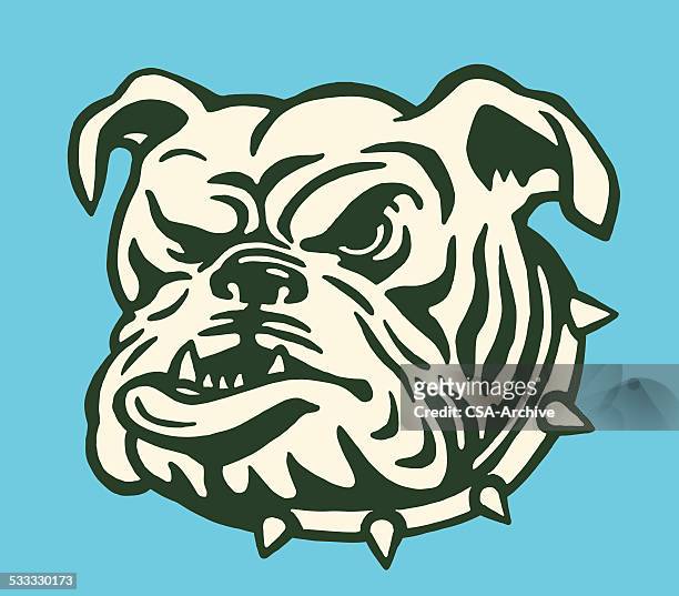bulldog with spiked collar - bulldog stock illustrations