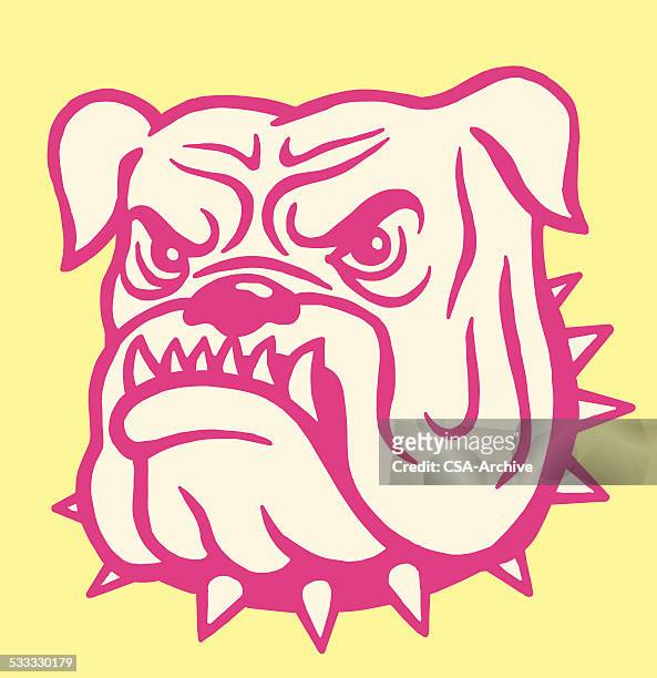 mean bulldog - cruel stock illustrations