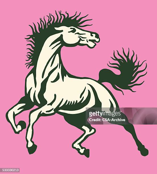 ilustrações de stock, clip art, desenhos animados e ícones de resistindo cavalo - cavalo selvagem arqueado