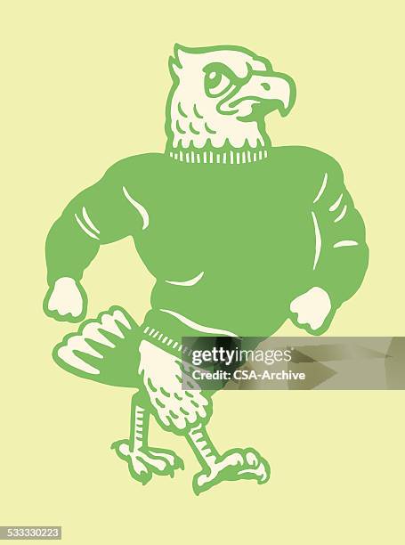 buff eagle - mascot vector stock illustrations