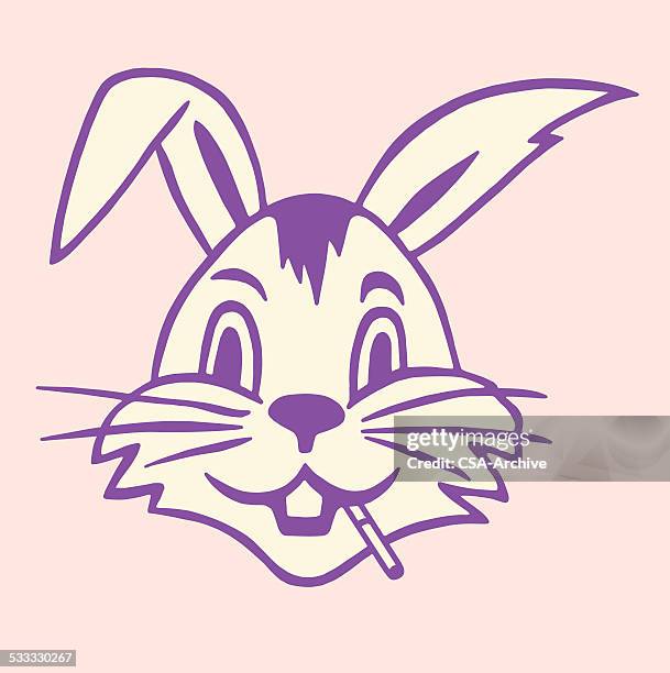 rabbit smoking cigarette - cigarette isolated stock illustrations