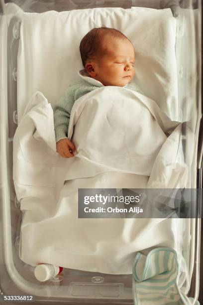 bebé recém-nascido dormindo em hospital berço - prematuro - fotografias e filmes do acervo