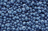 Background from freshly picked blueberries