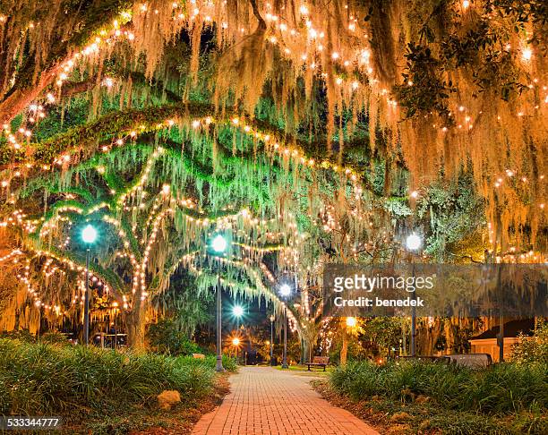 downtown park tallahassee florida - live oak tree stock pictures, royalty-free photos & images
