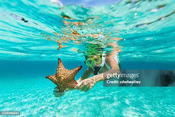 femme avec masque et tuba et masque tenant une étoile de mer - caraïbes photos et images de collection