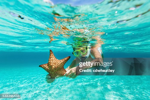 Woman with snorkel and mask holding a starfish Woman with snorkel and mask holding a starfish