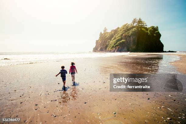 der olympic national park in washington, usa - olympic nationalpark stock-fotos und bilder