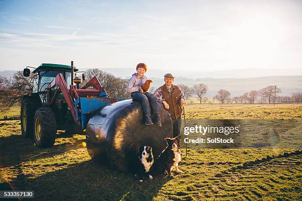 keeping it in the family - ensilage bildbanksfoton och bilder