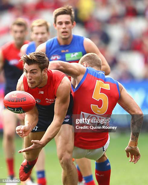 Jack Viney of the Demons handballs whilst being tackled by Mitch Robinson of the Lions during the round nine AFL match between the Melbourne Demons...