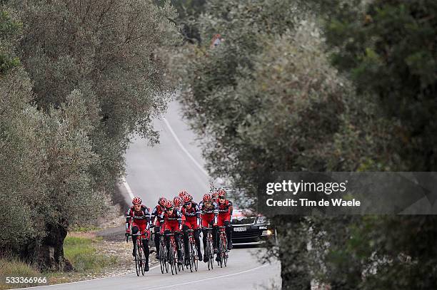 Racing Team 2011 Illustration Illustratie / Peleton Peloton / Olive Trees Arbres Olijf bomen / Landscape Paysage Landschap / / Equipe Ploeg / Tim De...