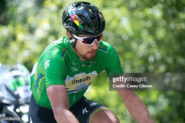 11th Amgen Tour of California 2016 / Stage 7 Peter SAGAN Green Points Jersey / Santa Rosa - Santa Rosa / Amgen Tour of California / Amgen/ ATOC /