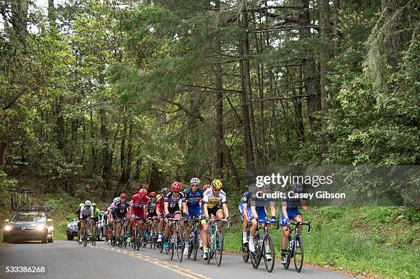 11th Amgen Tour of California 2016 / Stage 7 Illustration / Peloton / Landscape / Team ETIXX - QUICK-STEP / Santa Rosa - Santa Rosa / Amgen Tour of...