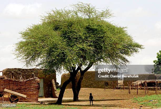 81 Dakoro Niger Stock Photos, HighRes Pictures, and Images Getty Images