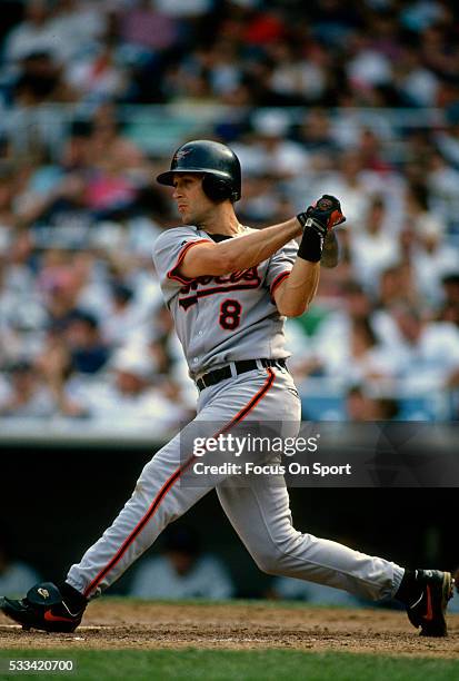 Cal Ripken Corner Cal Ripken” Baseball Photos and Premium High Res Pictures - Getty Images