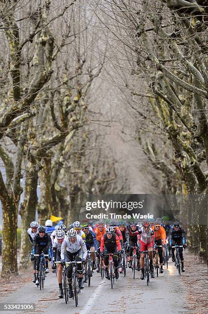 Paris - Nice 2011 / Stage 8 Illustration Illustratie / Peleton Peloton / Forest Bois Bos / Landscape Paysage Landschap / Nice - Nice / Etape Rit /...