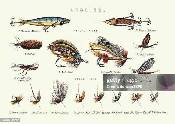ilustraciones, imágenes clip art, dibujos animados e iconos de stock de victoriano pesca deportiva de pesca atrae - trout