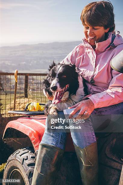 female farmer and her sheepdog - shepherd stock pictures, royalty-free photos & images