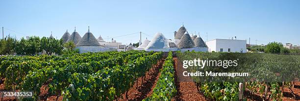 trulli near the town - locorotondo stockfoto's en -beelden