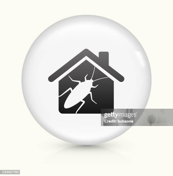 cockroach pests at home icon on white round vector button - cockroach stock illustrations