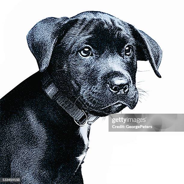 218点のブラックラブラドールイラスト素材 Getty Images 218点のブラックラブラドールイラスト素材 Getty Images