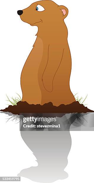 groundhog day - ground squirrel stock illustrations