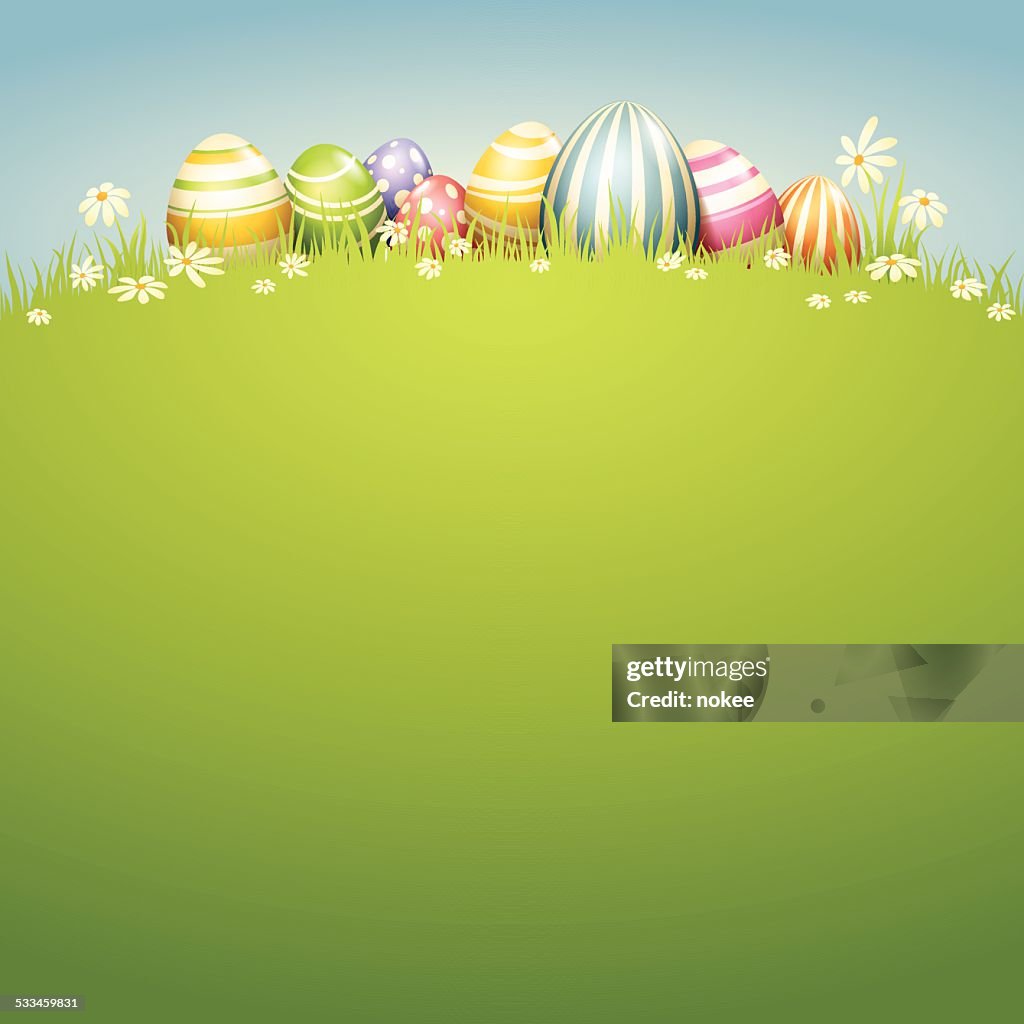 Easter Egg - Spring Field