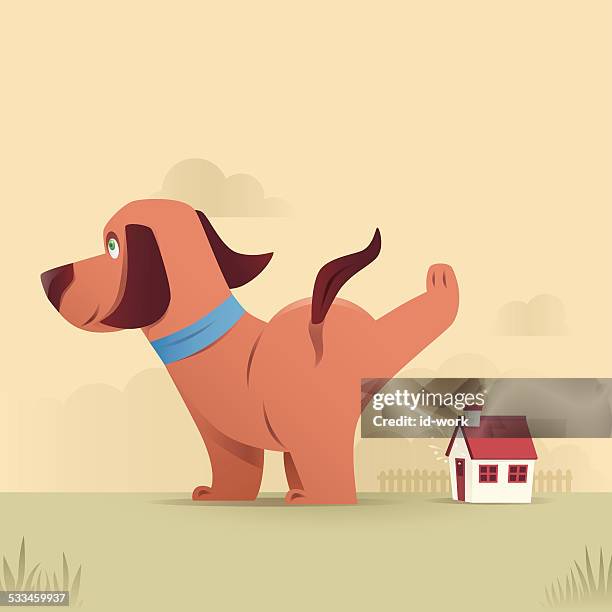 dog peeing - urine vector stock illustrations