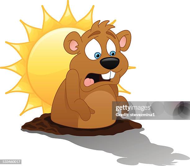groundhog day - groundhog stock illustrations