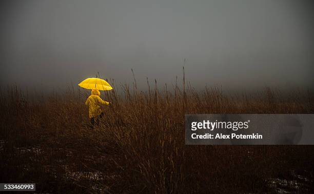 little girl crossing the field in fog - bog stock pictures, royalty-free photos & images
