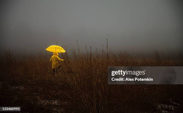 menina atravessando o campo no nevoeiro - coragem imagens e fotografias de stock