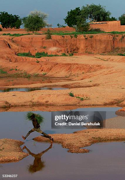 Young Nigerois boy jumps across water while carrying grass for livestock in the village of Sadongori Kolita on August 9, 2005 near Maradi, Nigeria....