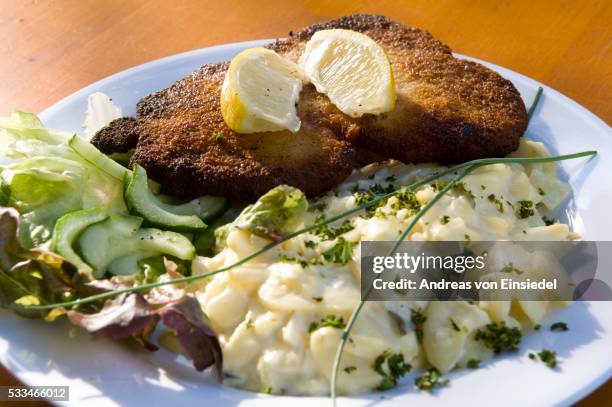 beer garden - schnitzel stockfoto's en -beelden