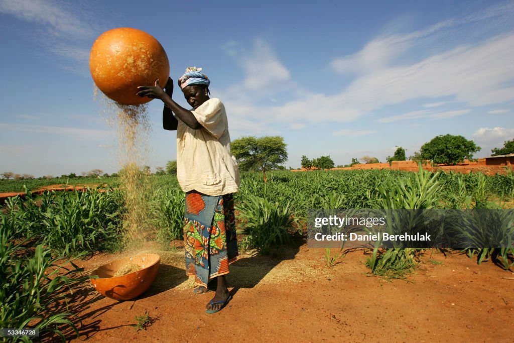 Niger Suffers Food Crisis