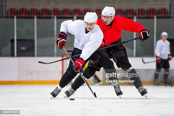 two ice hockey players dueling - ice hockey stock pictures, royalty-free photos & images