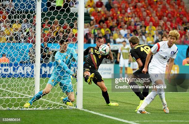 Steven Defour of Belgium and Thibaut Courtois of Belgium during a FIFA 2014 World Cup Group H match Korea Republic v. Belgium at the Arena de Sao...