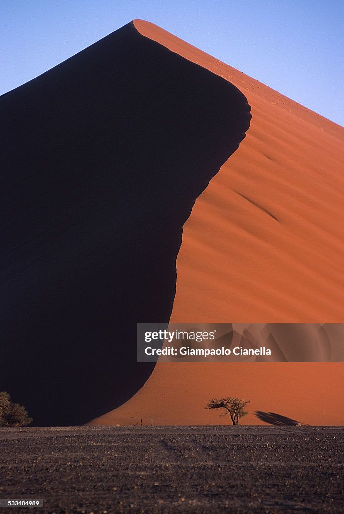 Dune of Namib Naukluft Park