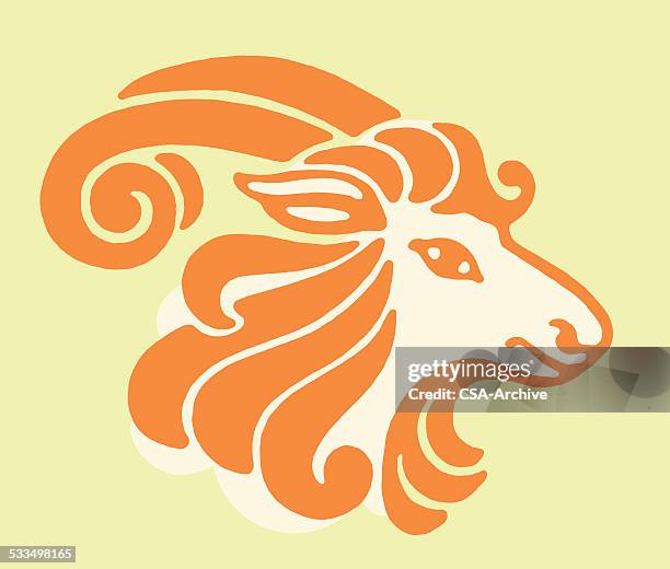 161 Capricorn Animal Sign Photos and Premium High Res Pictures - Getty Images 161 Capricorn Animal Sign Photos and Premium High Res Pictures - Getty Images
