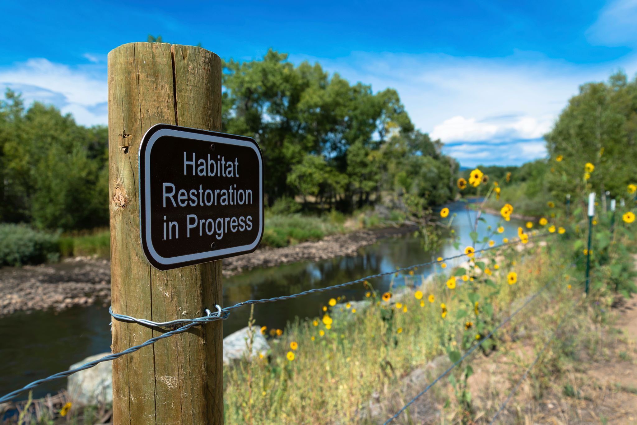 river restoration