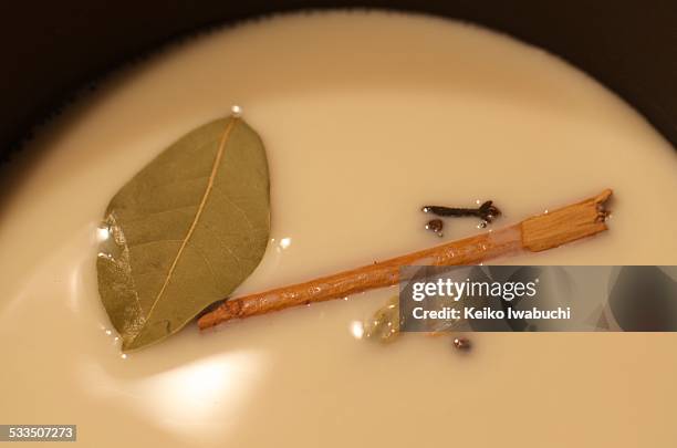 making chai tea from scratch - bay leaf stock pictures, royalty-free photos & images