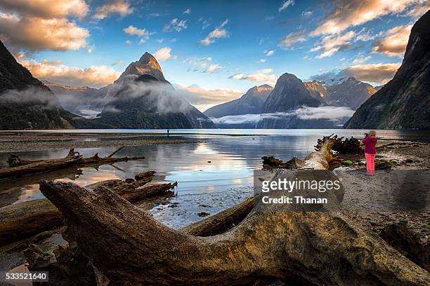 milford sound - milford sound stock pictures, royalty-free photos & images