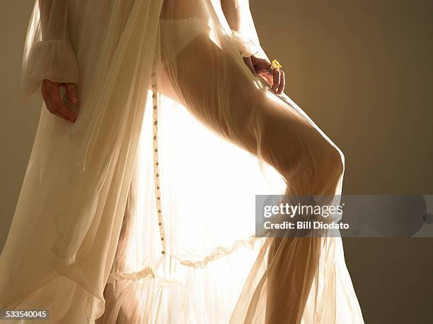 womans legs in shear dress - sheer knickers stock pictures, royalty-free photos & images