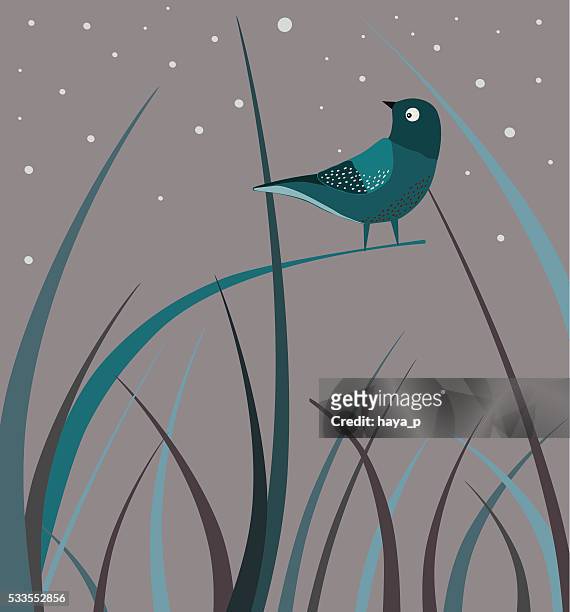 ilustrações de stock, clip art, desenhos animados e ícones de ave, à noite, relva - timothy grass